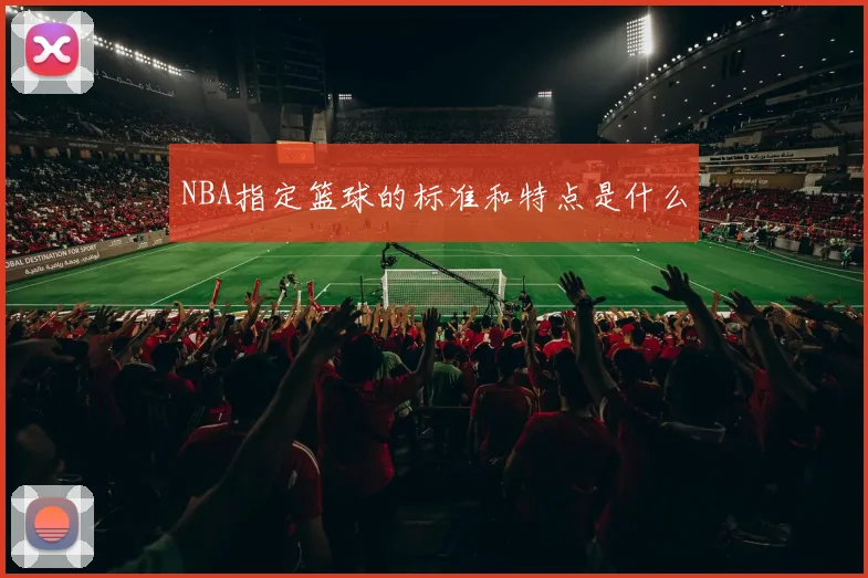 NBA指定篮球的标准和特点是什么