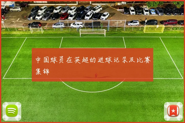 中国球员在英超的进球记录及比赛集锦