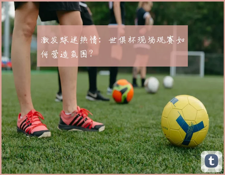 激发球迷热情：世俱杯现场观赛如何营造氛围？